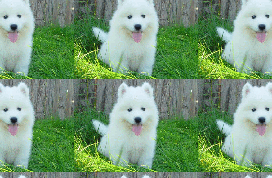 202104081617872053320602